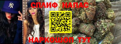 мдпв Обнинск